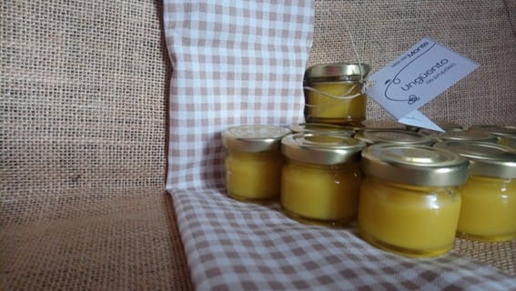 Ungüento de Propóleo - Imagen 2